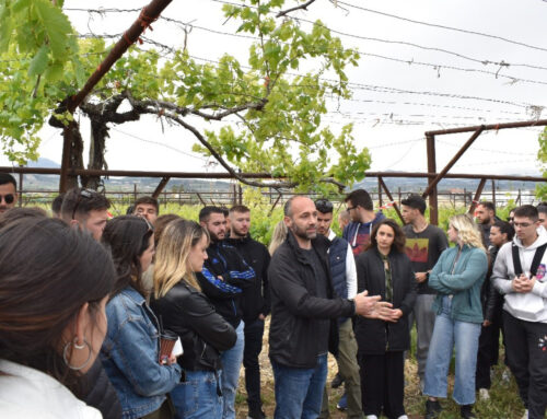Exploring sustainable weed control practices in Greek vineyards: A demonstration event