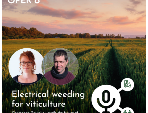 Episode 1 – Electrical weeding for viticulture