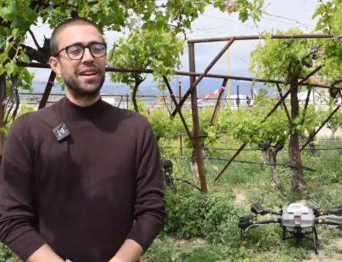 Demonstration event in Greek vineyards showcasing spraying drones