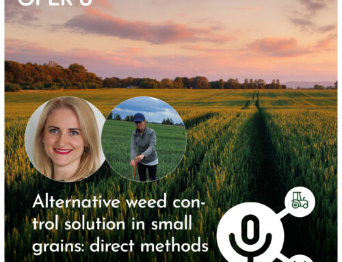 Episode 5 – Alternative weed control solution in small grains: direct methods
