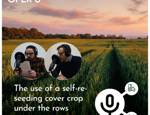 Episode 2 – The use of a self-reseeding cover crop under the rows