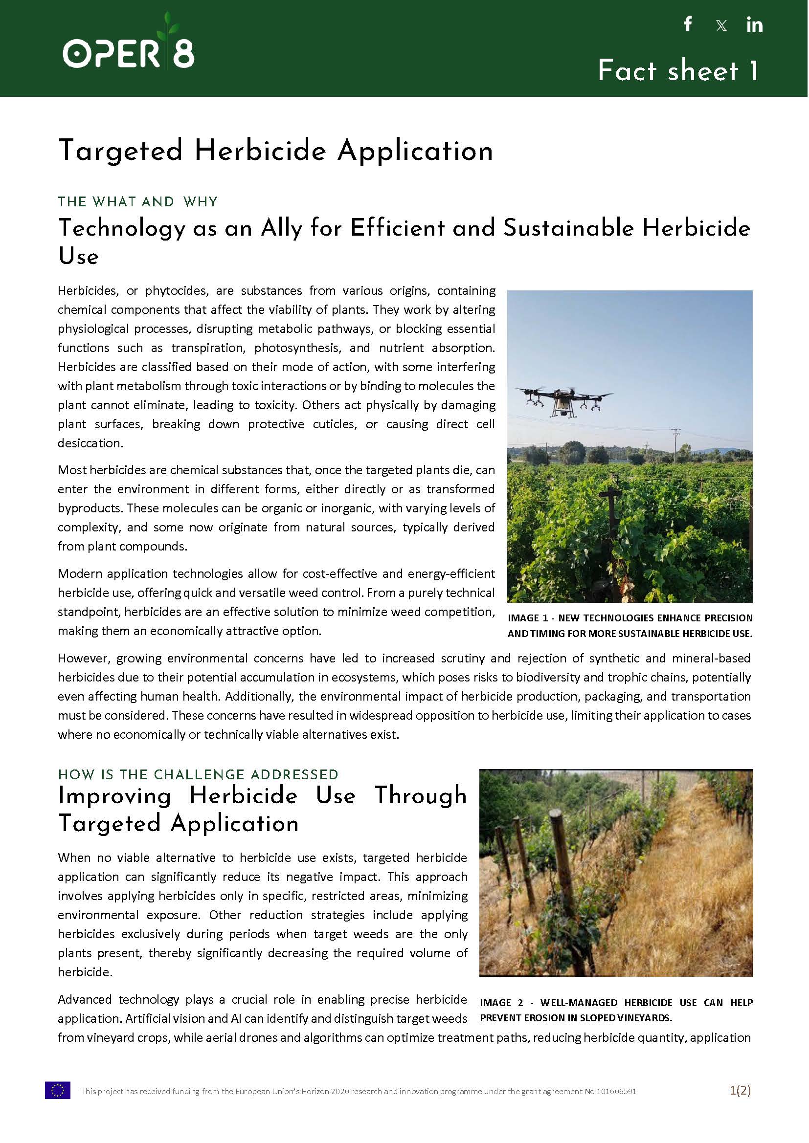 1. SP_FS_TargetedHerbicide_BS9_EN