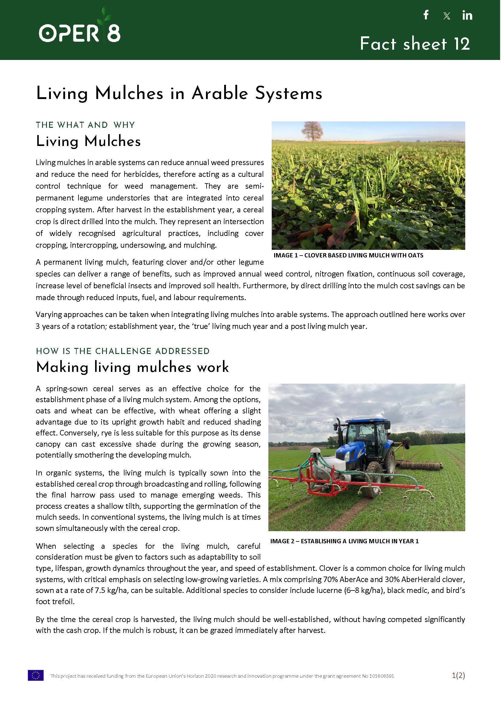 1. UK_FS_BS02_Living mulch arable_EN