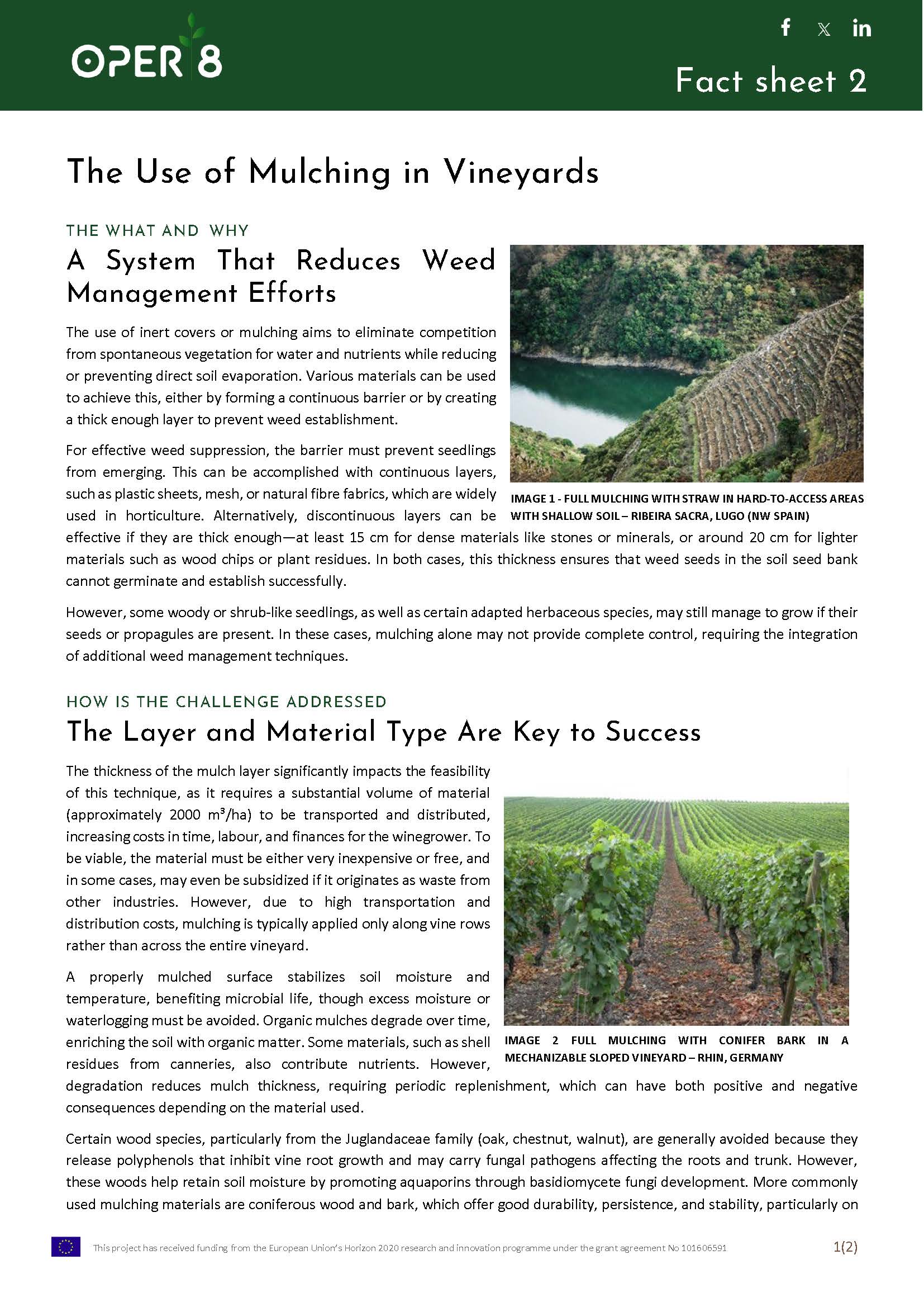 2. SP_FS_MulchingVineyards_BS11_EN