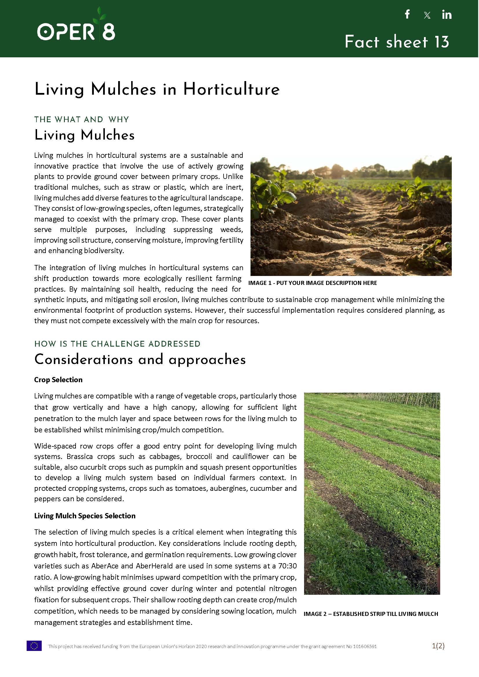 2. UK_FS_BS08_living mulch hortic_EN