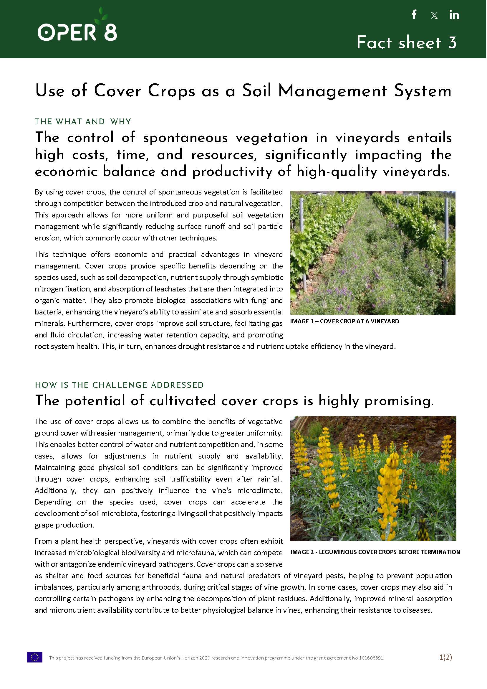 3. SP_FS_CoverCrops_BS12_EN