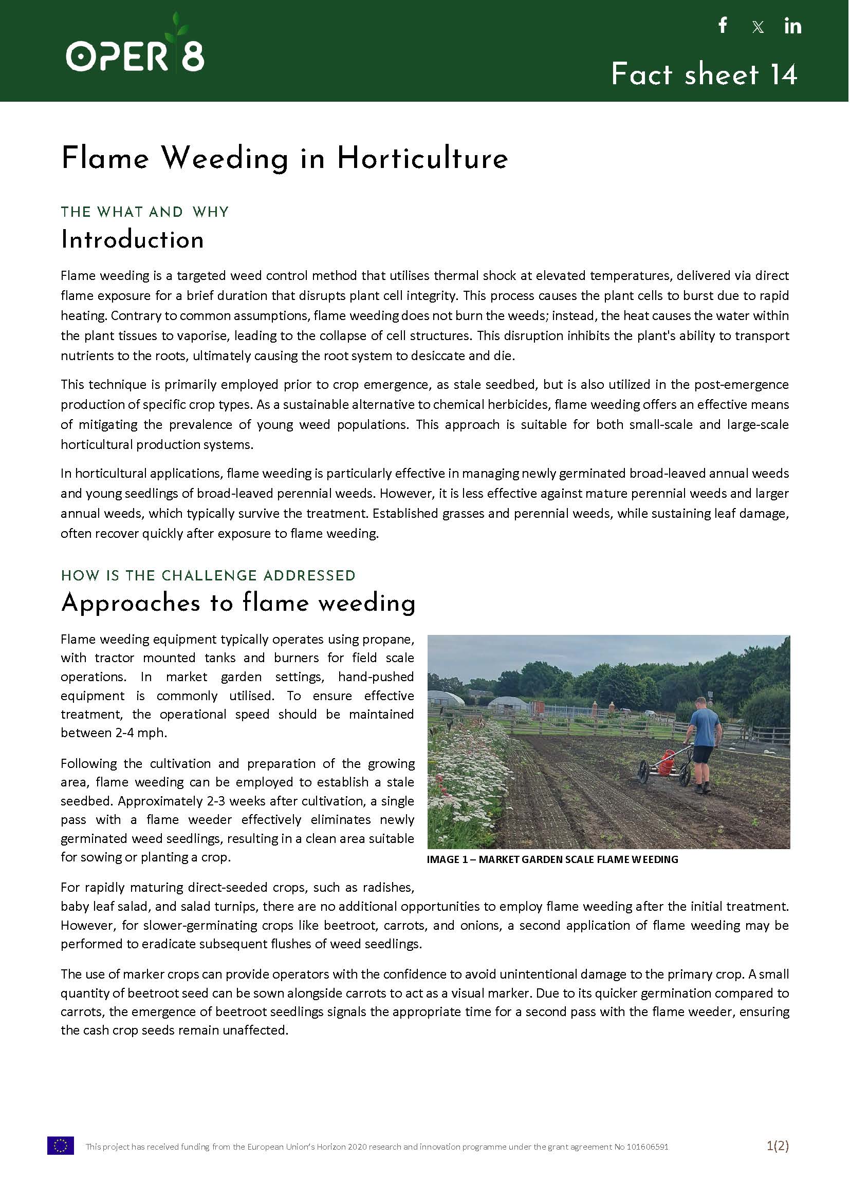 3. UK_FS_BS11_flame weed hortic_EN