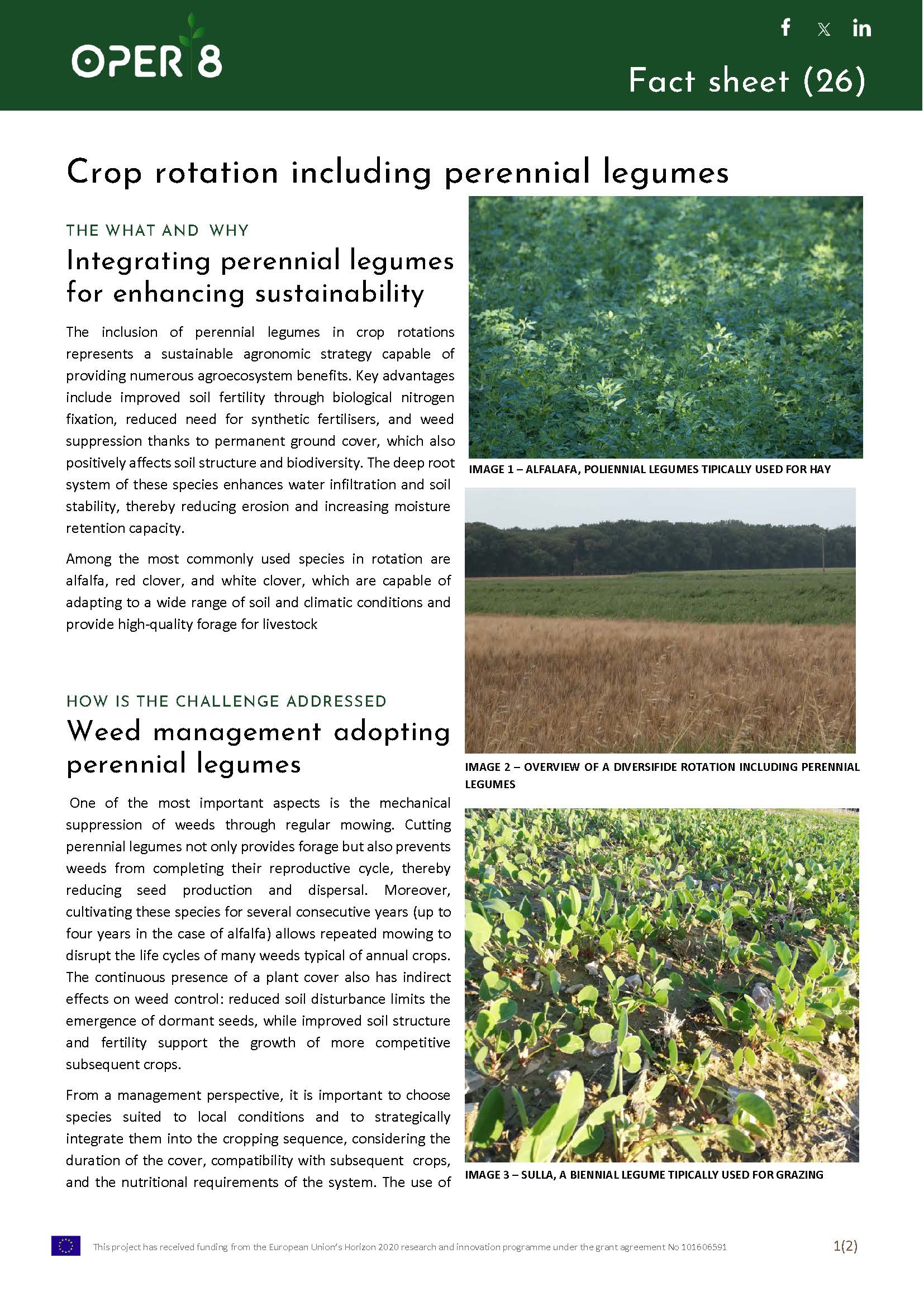 1. IT_FS_CropRotation_BS1_EN