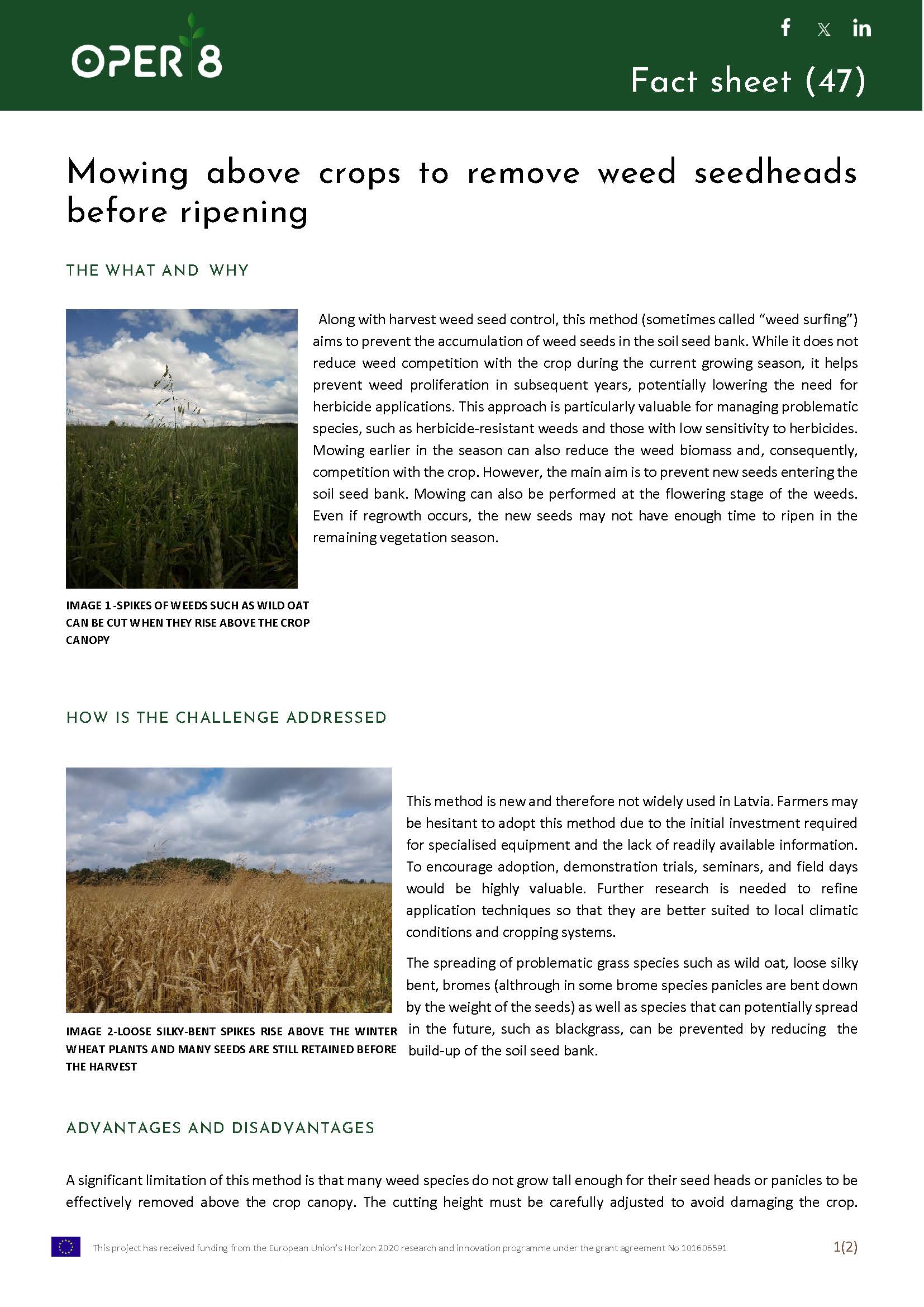 10_LV_FS_Mowing_BS11_EN