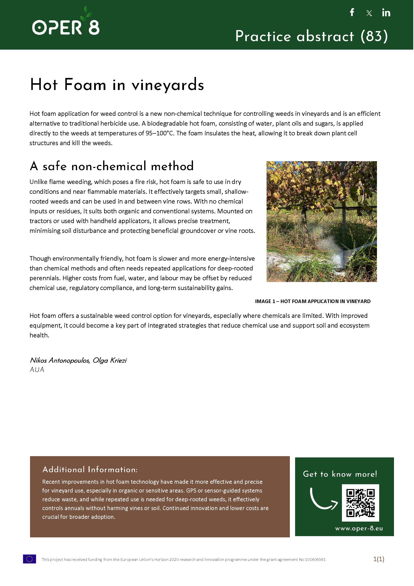 11. GR_PA_HOTFOAMVINEYARDS_BS11_EN