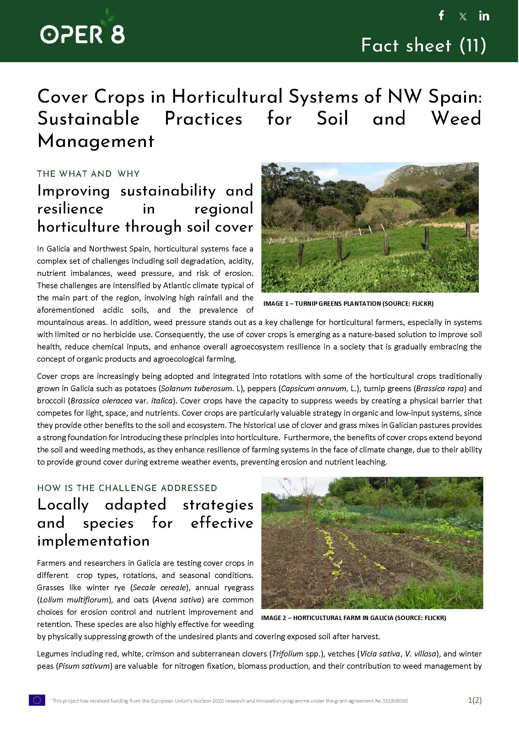 11. SP_FS_CoverCrops_BS6_EN