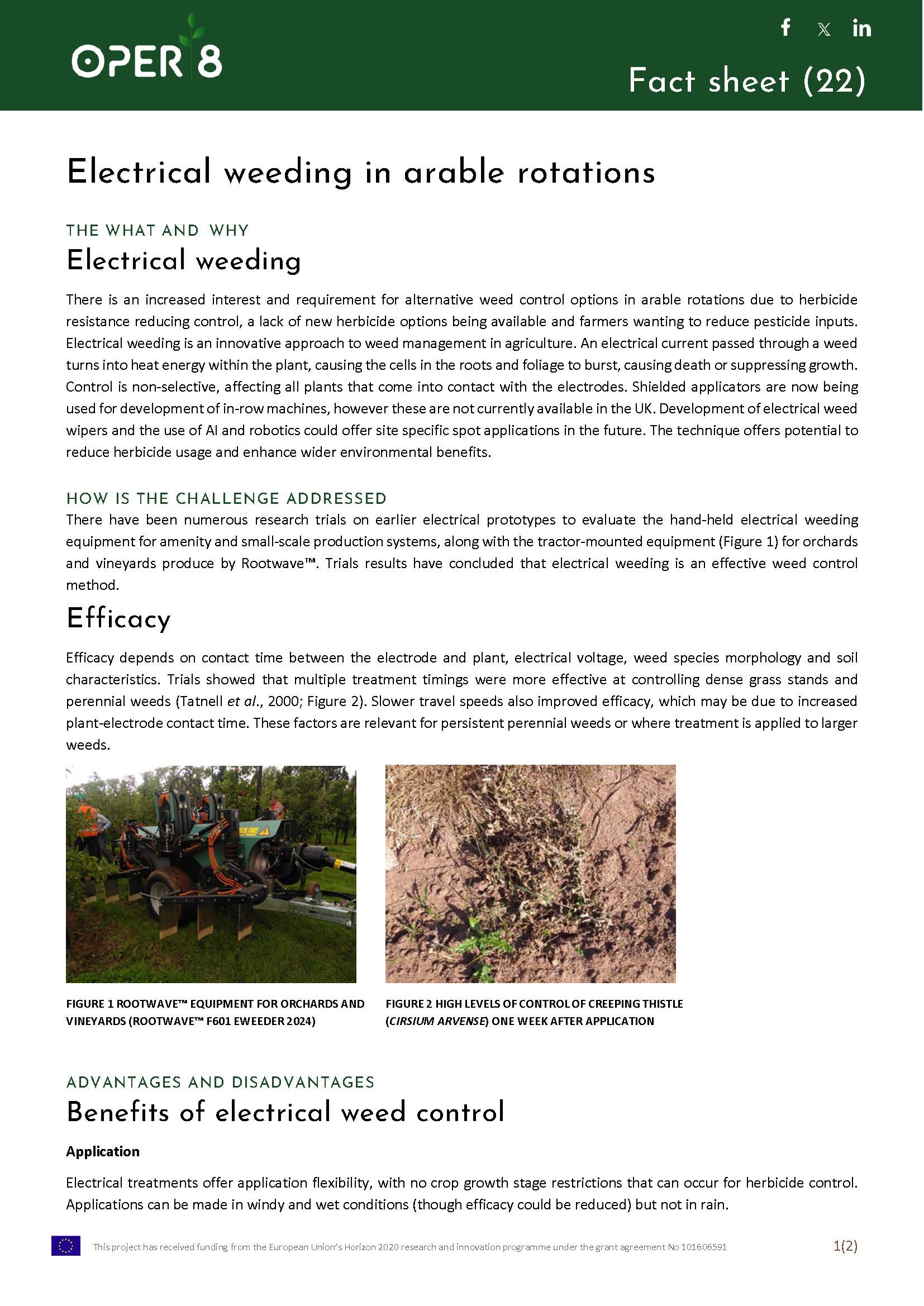 11. UK_FS_BS06_Electrical weeding arable_EN