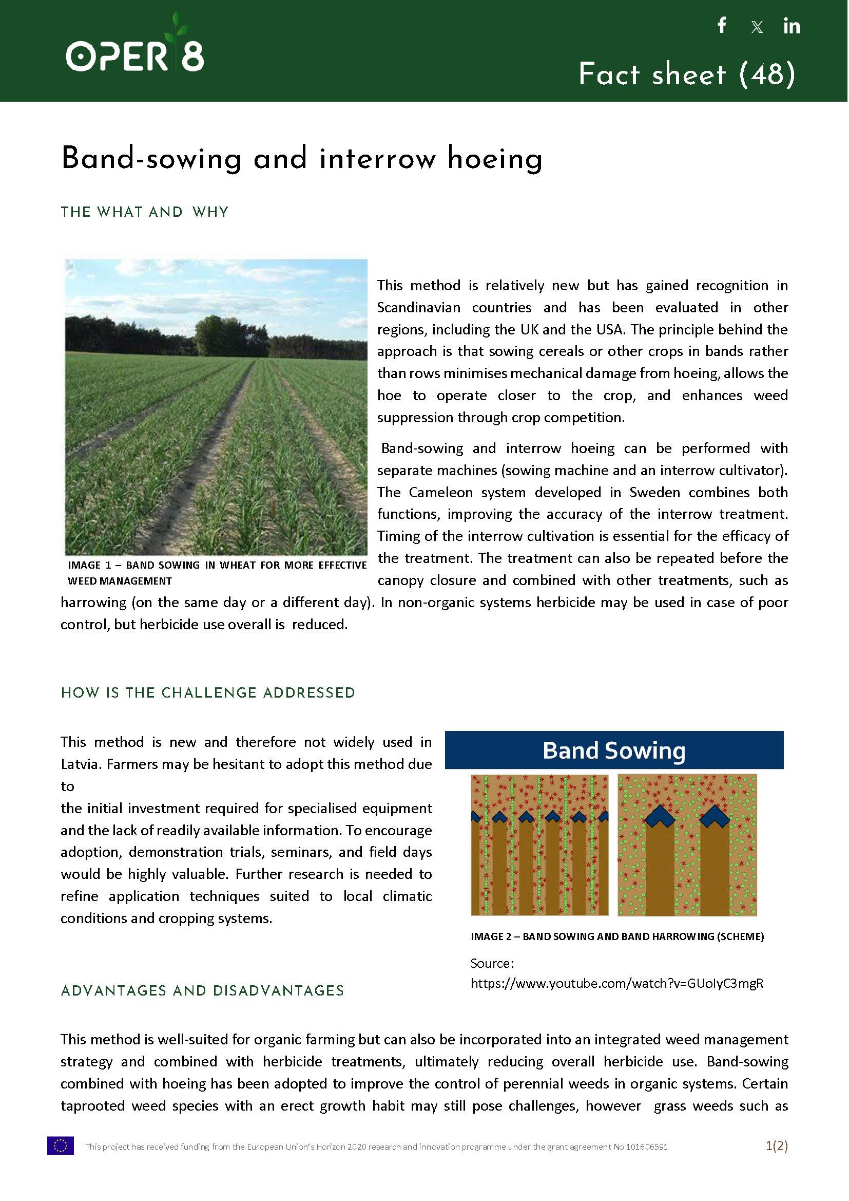 11_LV_FS_Band sowing_BS12_EN