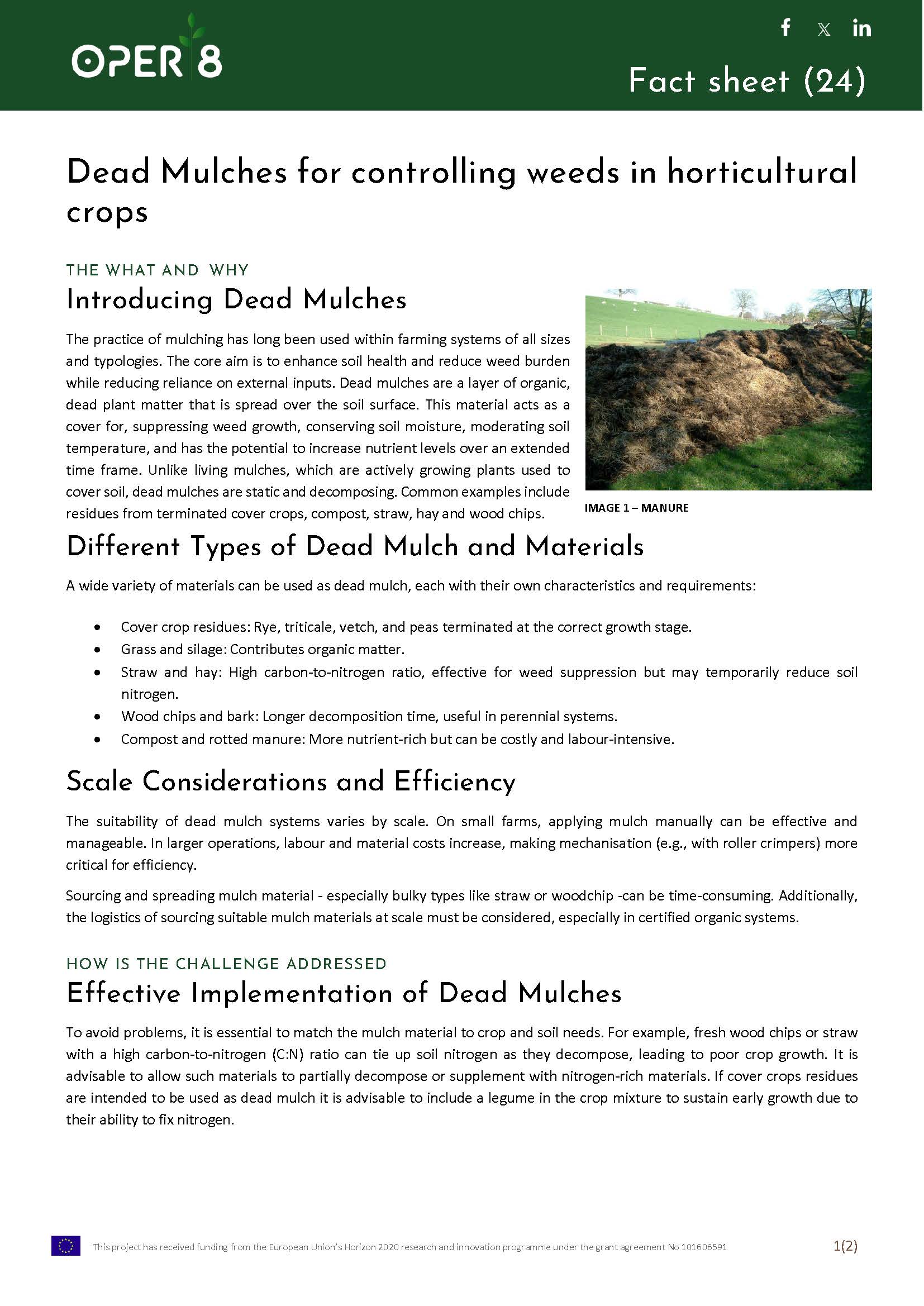 13.UK_FS_BS14_dead mulch hortic_EN