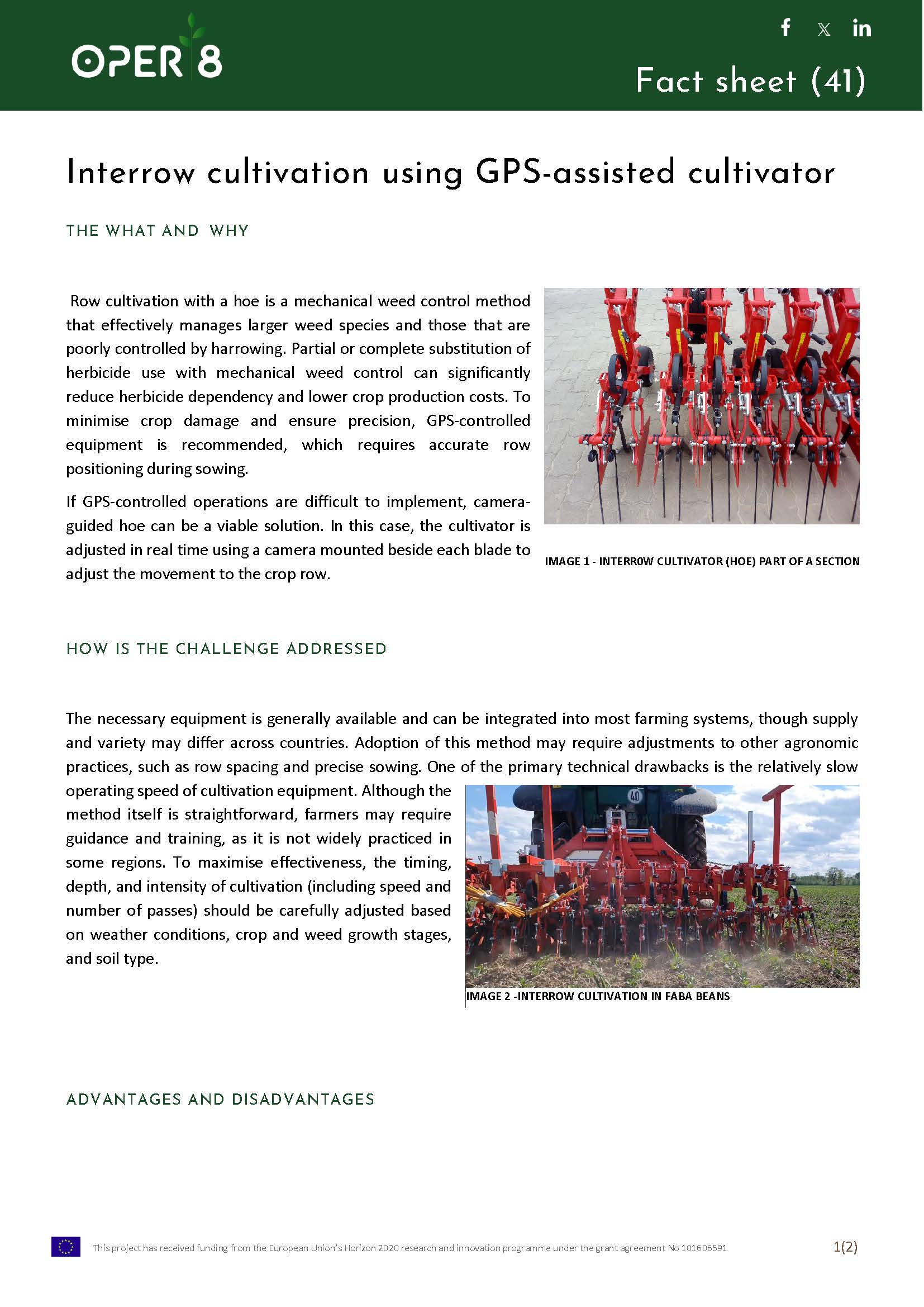 4_LV_FS_Interrow cultivation_BS9_EN