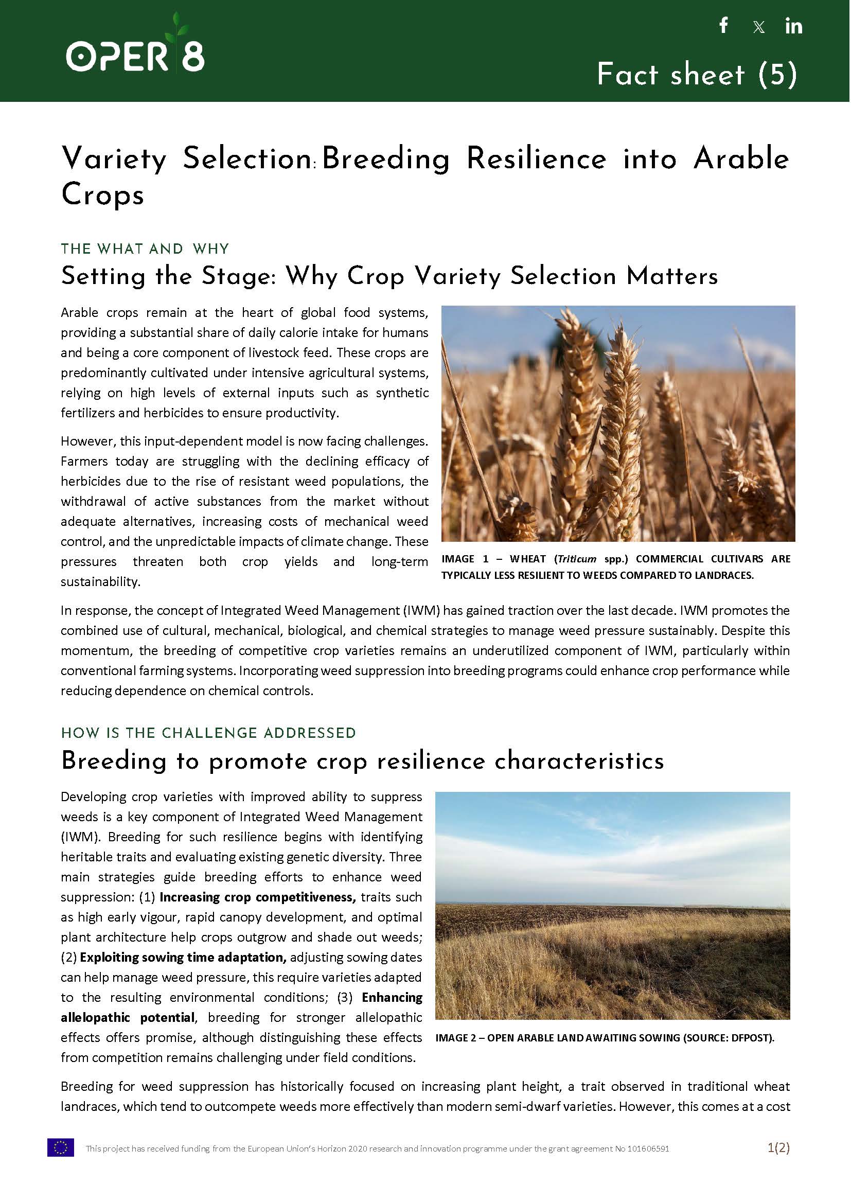 5. SP_FS_ResilienceCrops_BS1_EN