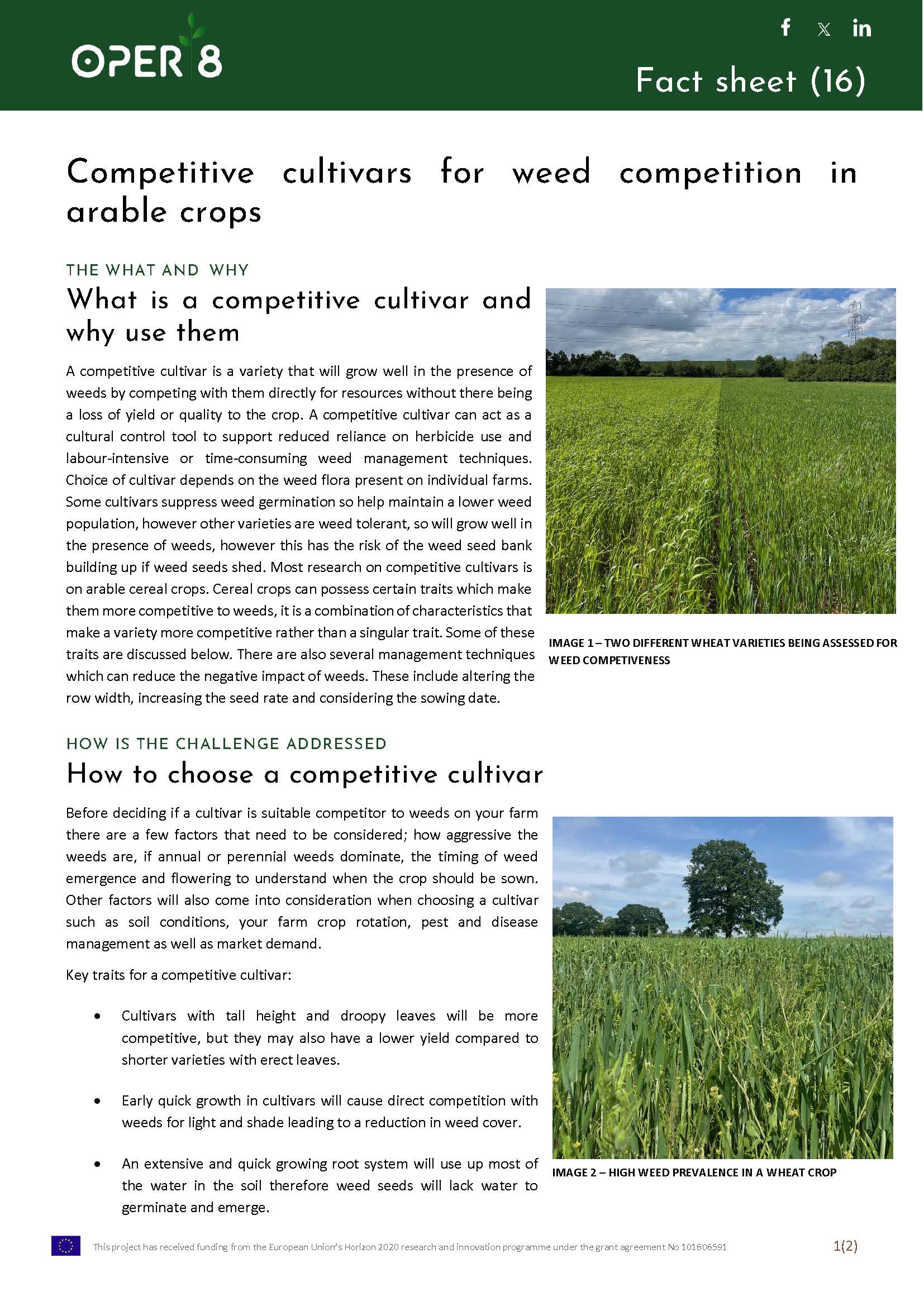 5.UK_FS_BS05_Comp cultivars arable_EN