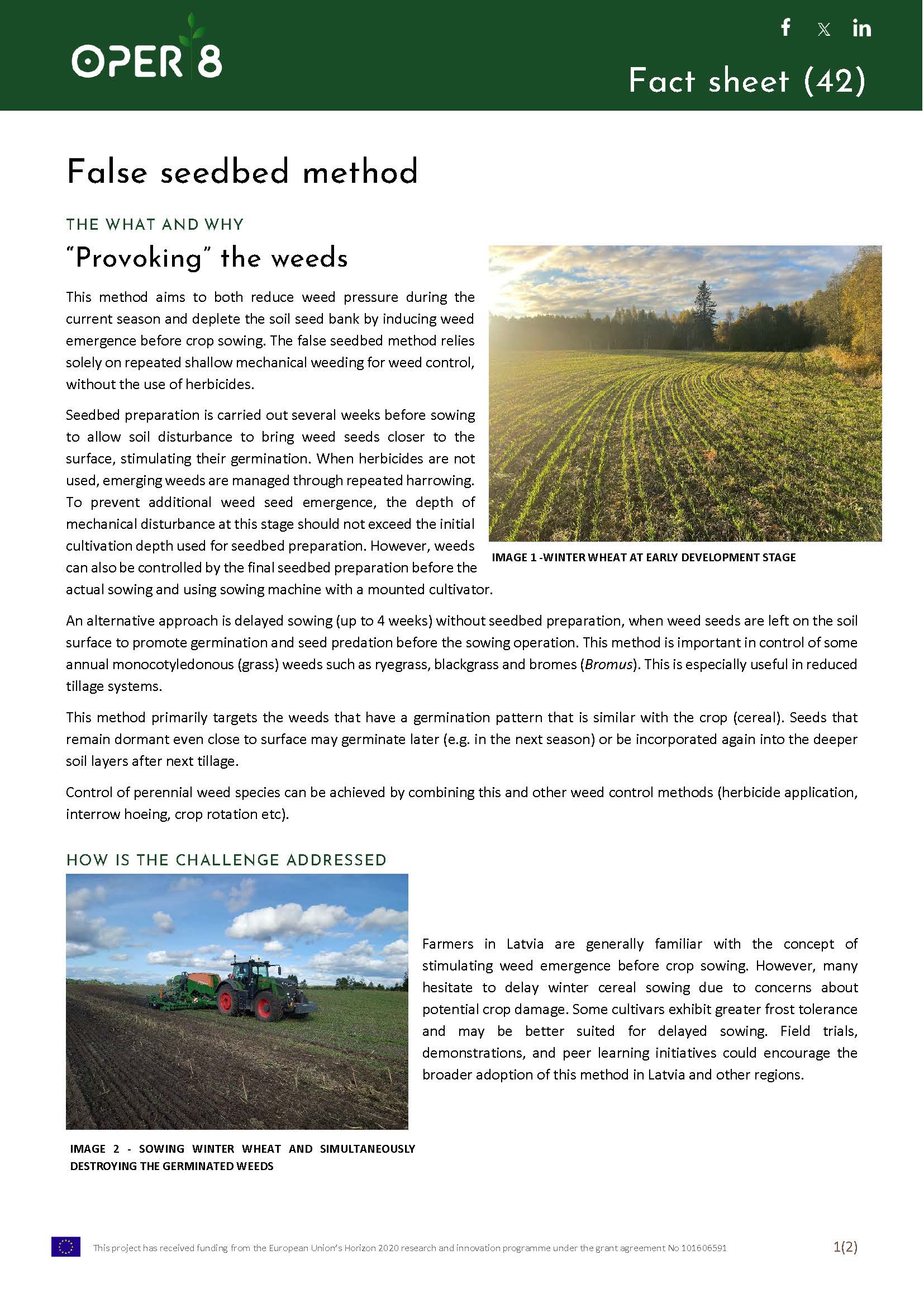 5_LV_FS_False_Seedbed_BS5_EN