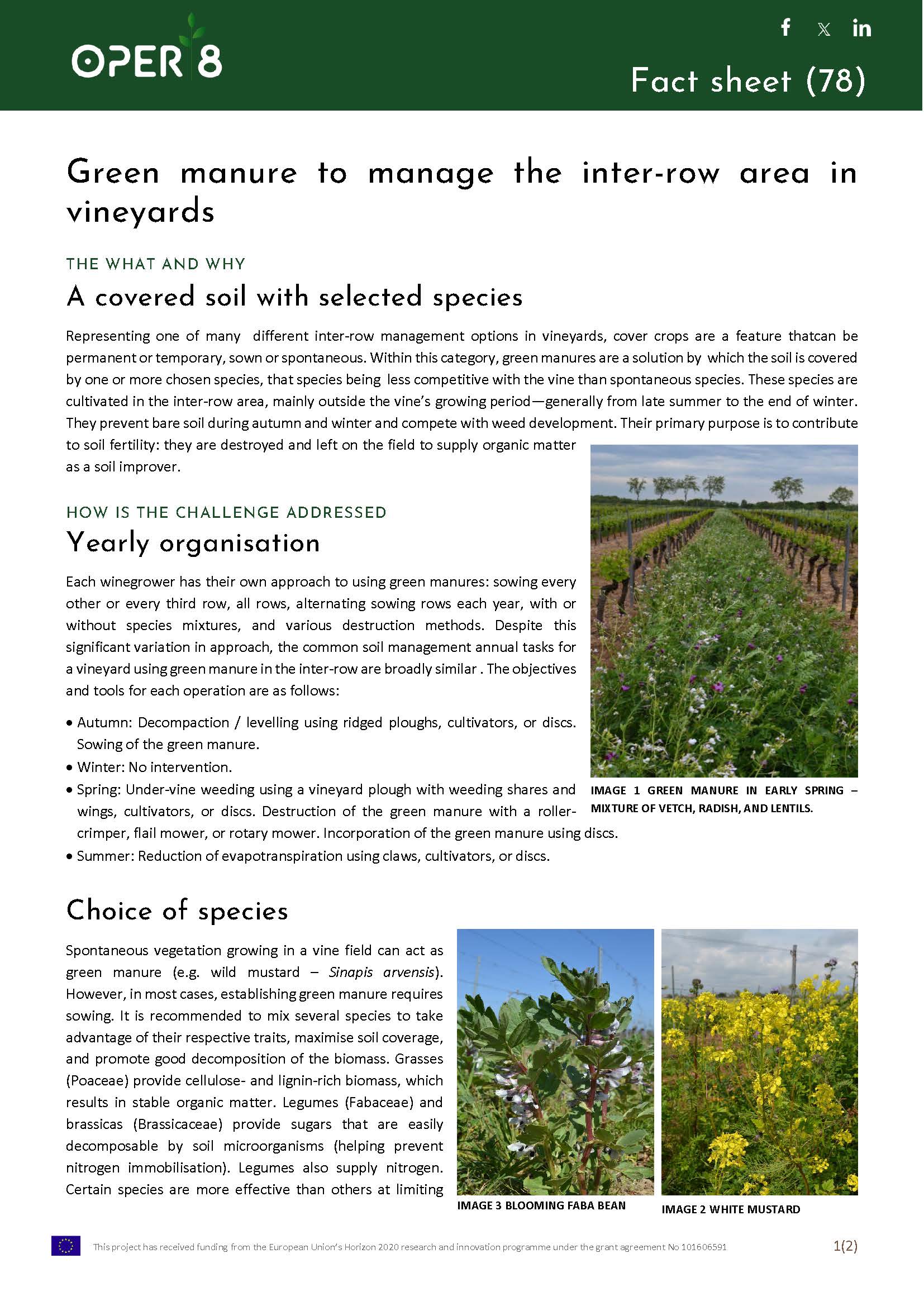 6_FR_FS_GREENMANURE_BS5_EN