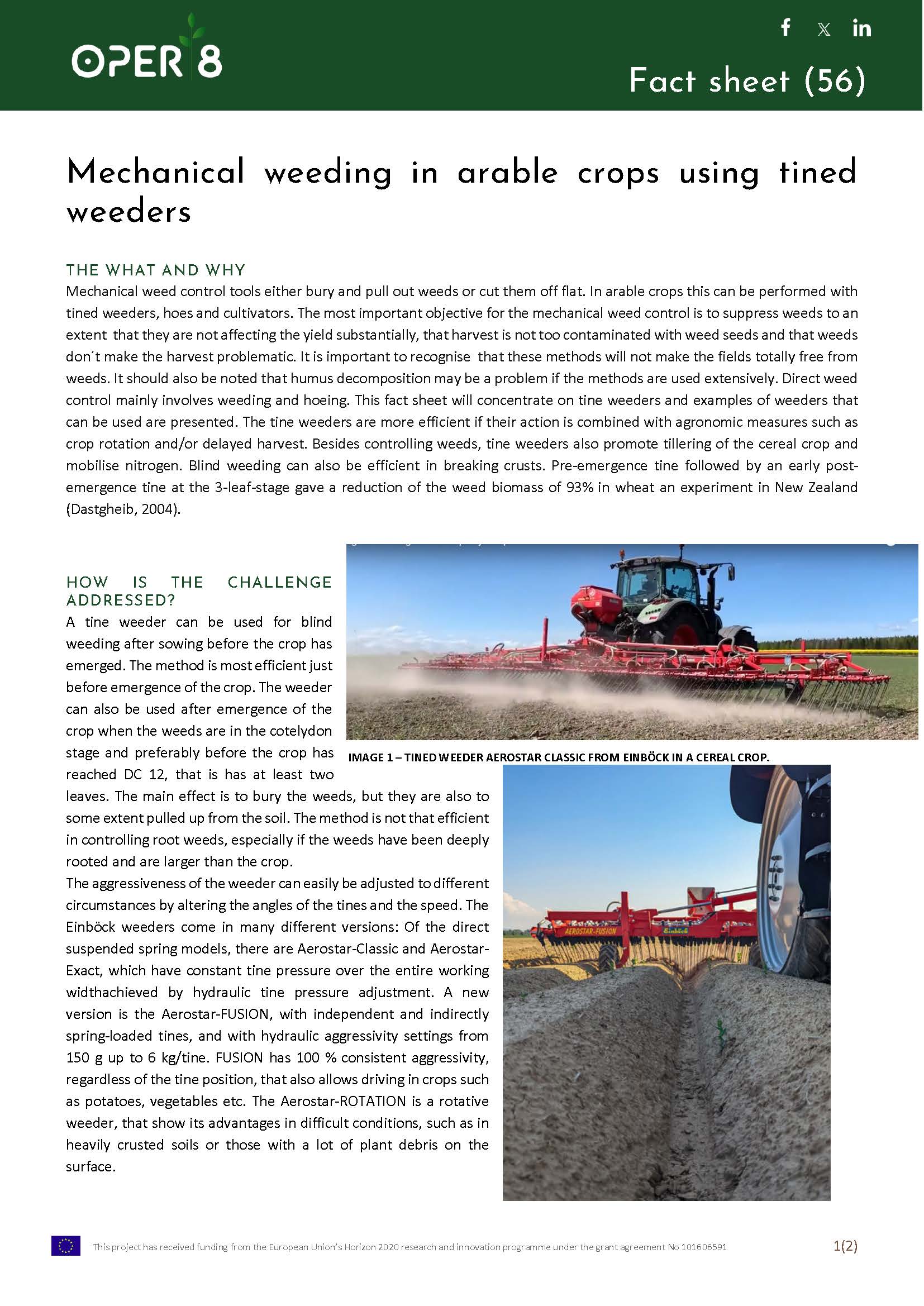 7. SE_FS_BS2_Einböck_EN