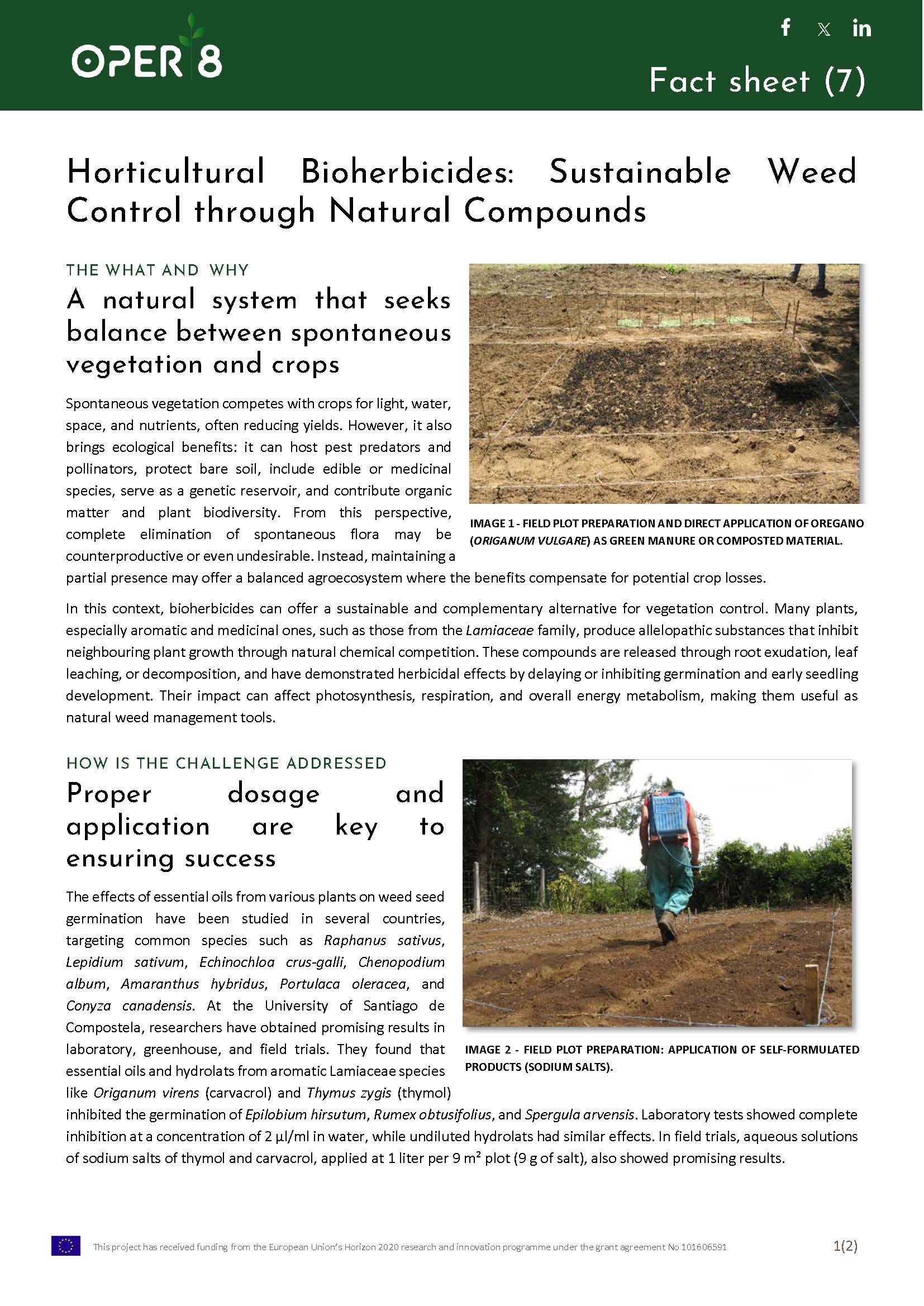 7. SP_FS_HorticulturalBioherbicides_BS8_EN