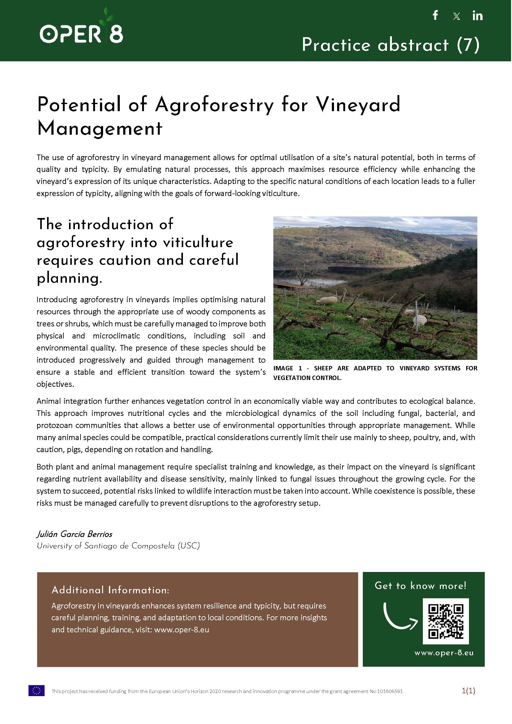 7. SP_PA_AgroforestryVineyard_BS10_EN