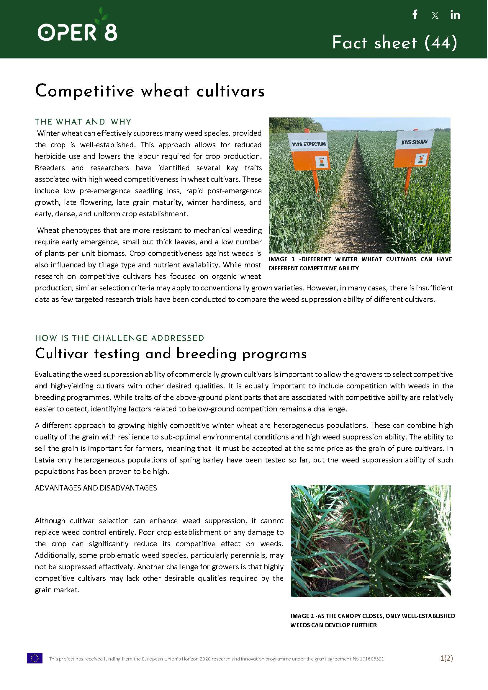 7_LV_FS_Competitive_cultivars_BS10_EN