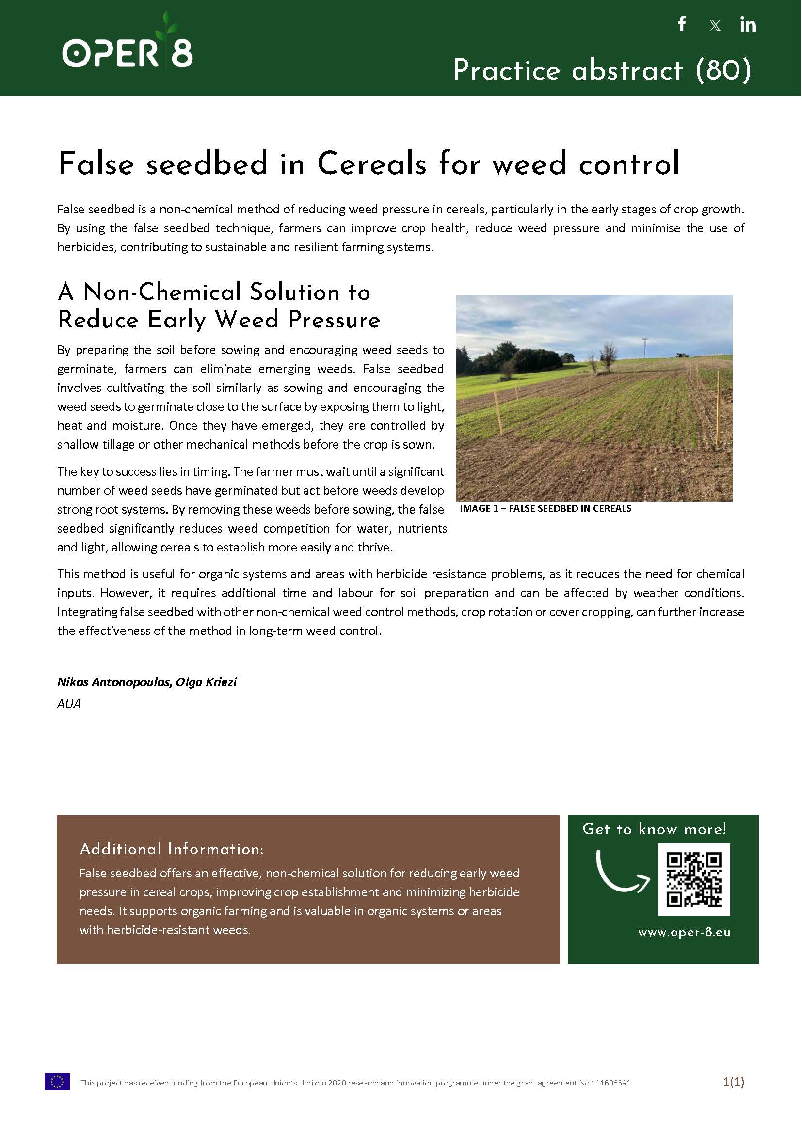 8. GR_PA_FALSESEEDBEDCEREALS_BS8_EN