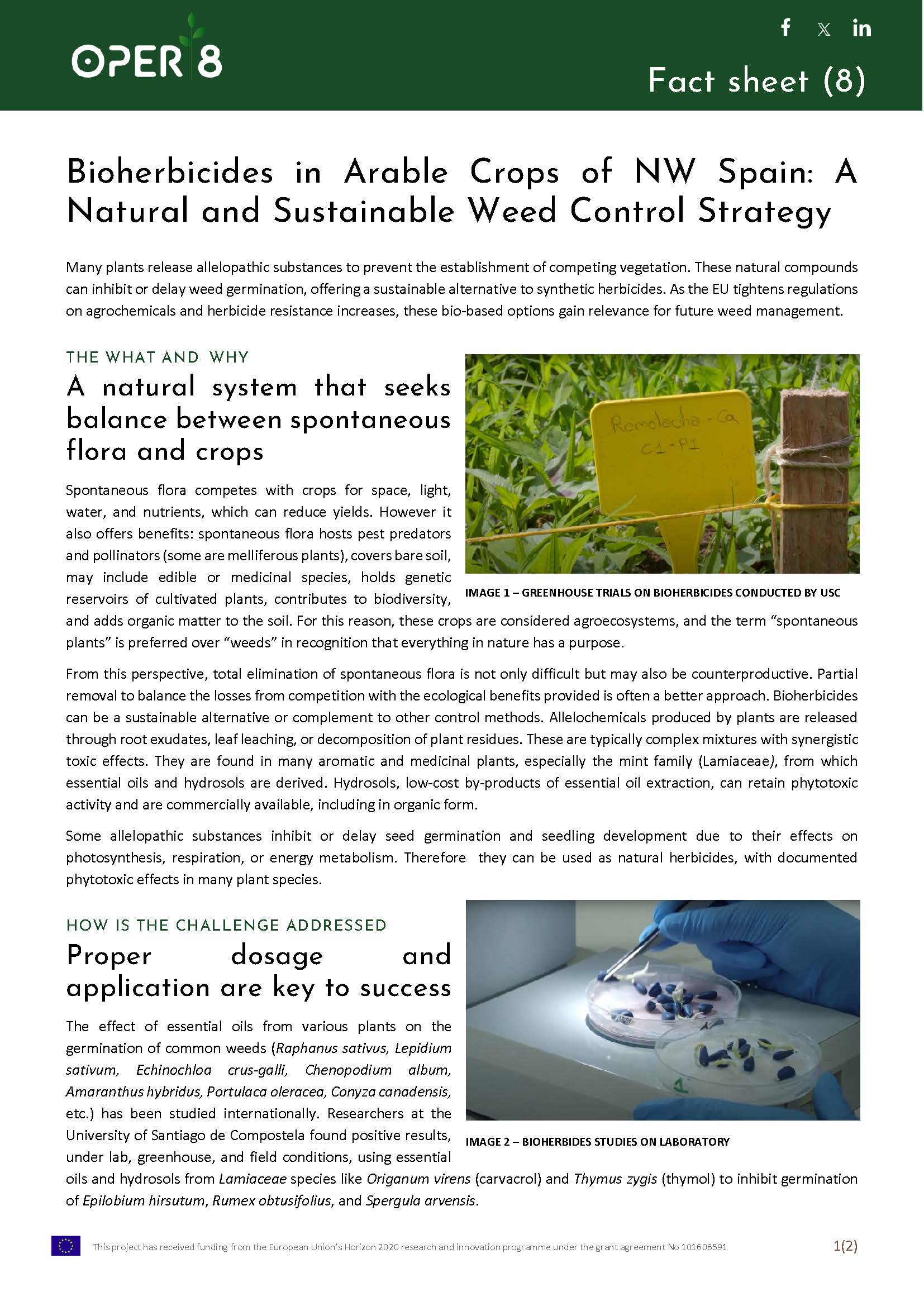 8. SP_FS_BioherbicidesSustainable_BS2_EN