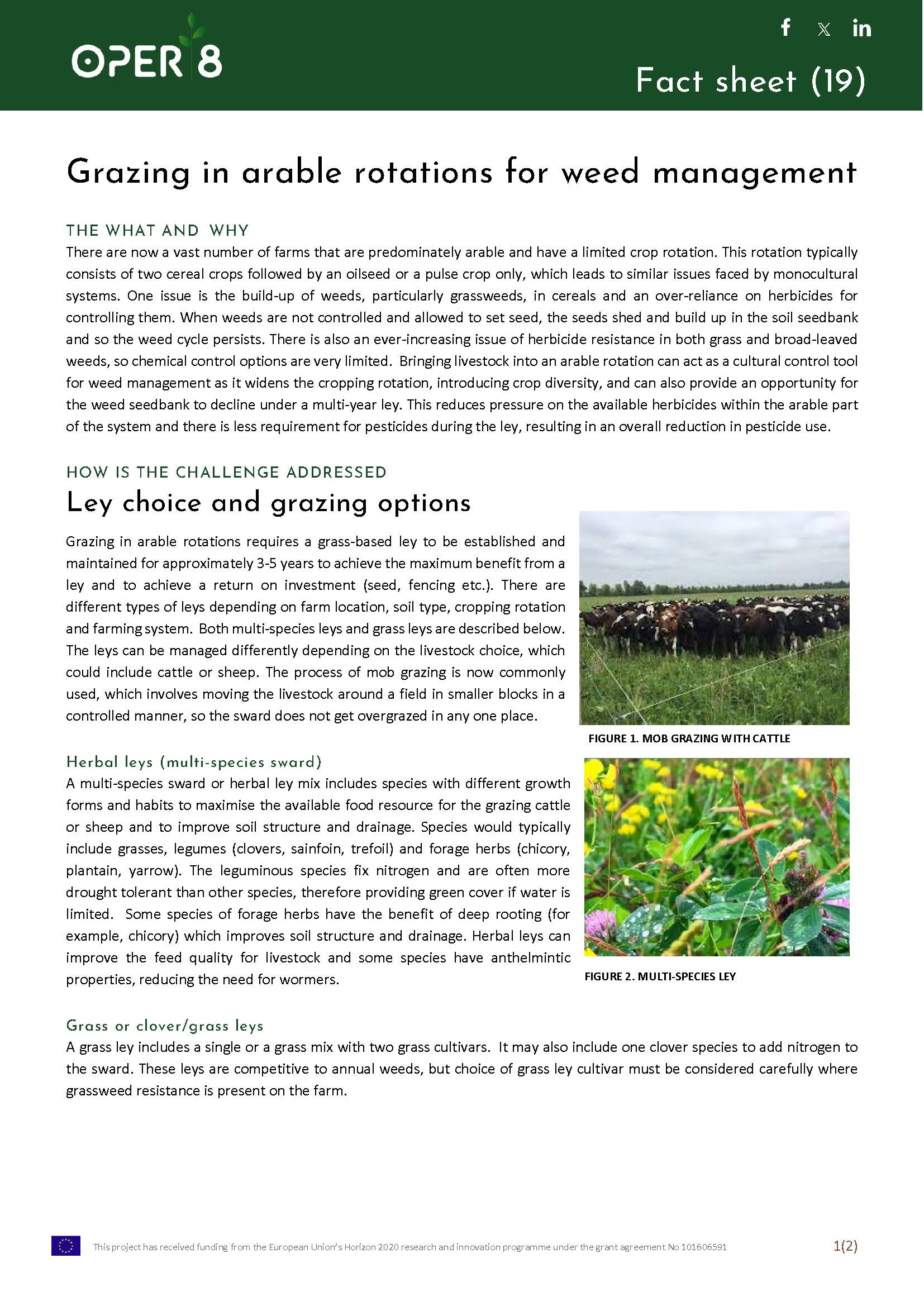 8. UK_FS_BS03_Grazing in arable_EN