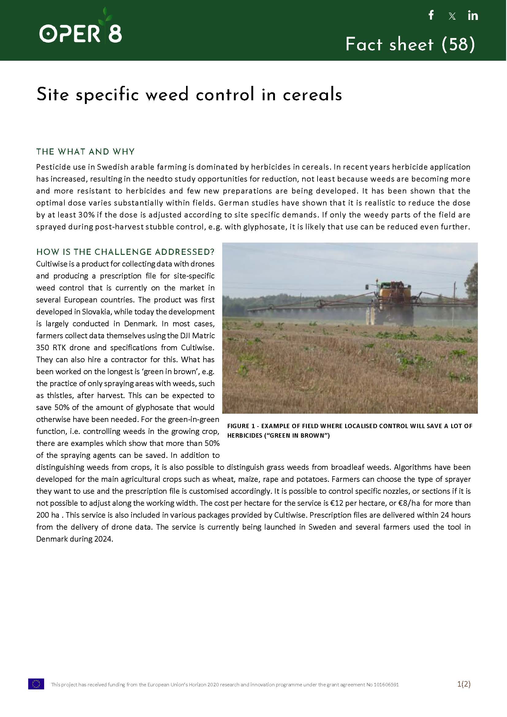 9. SE_FS_Cultiwise_BS5_EN