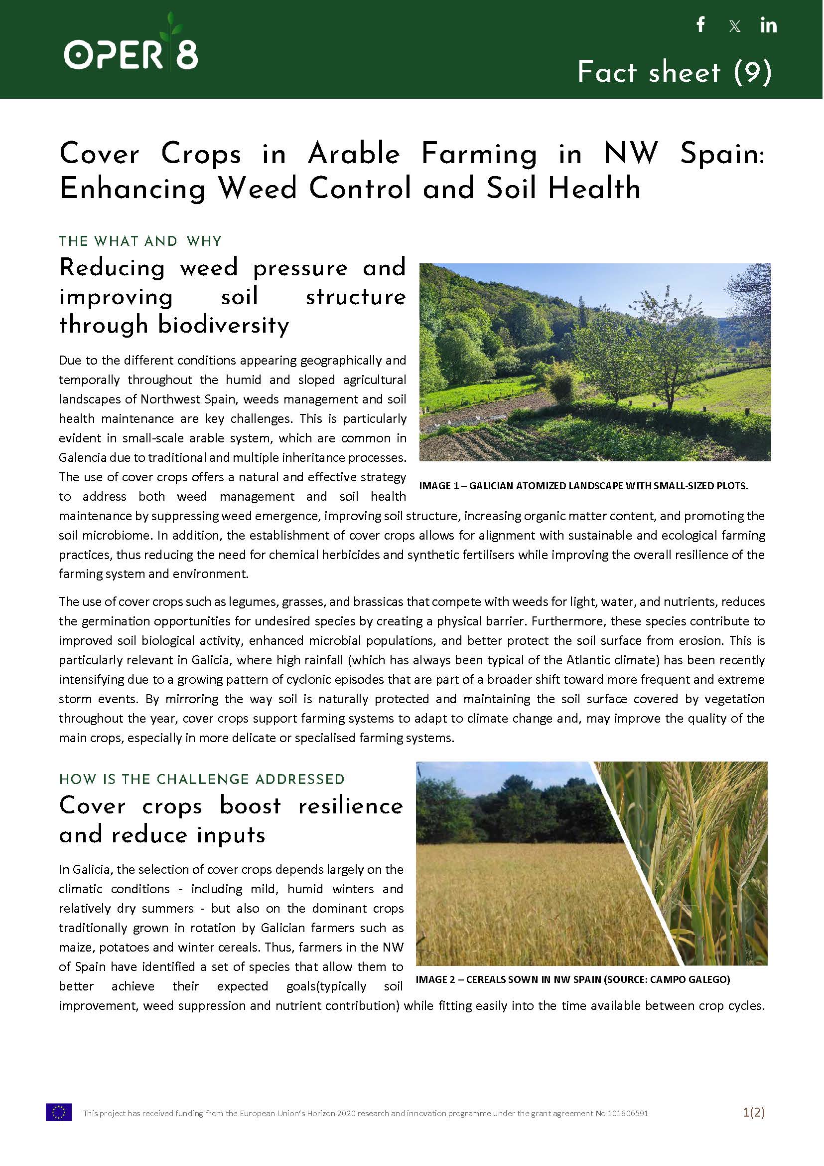 9. SP_FS_CoverCrops_BS3_EN_Sida_1